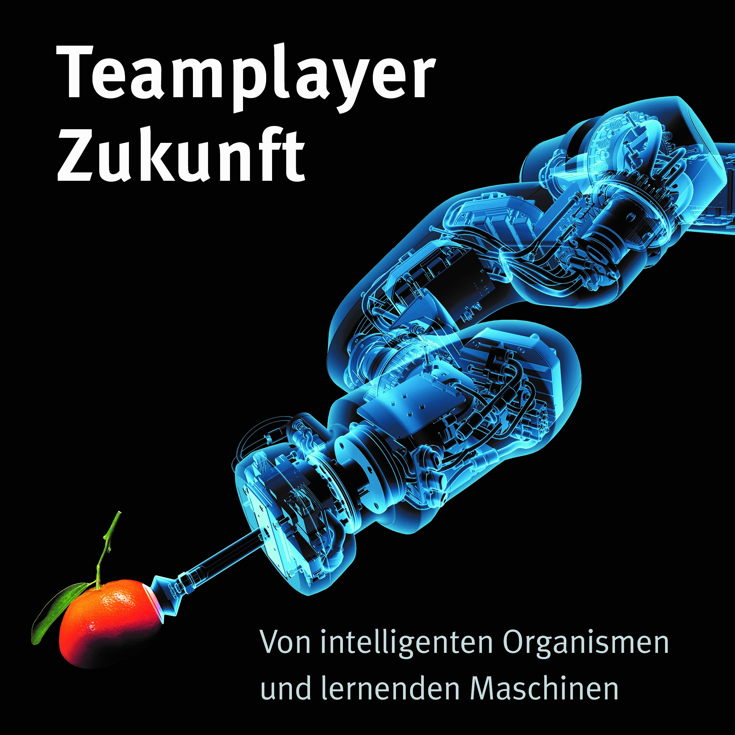 Teamplayer Zukunft Cover des Buchs Teamplayer Zukunft der Autorin Patricia Piekenbrock